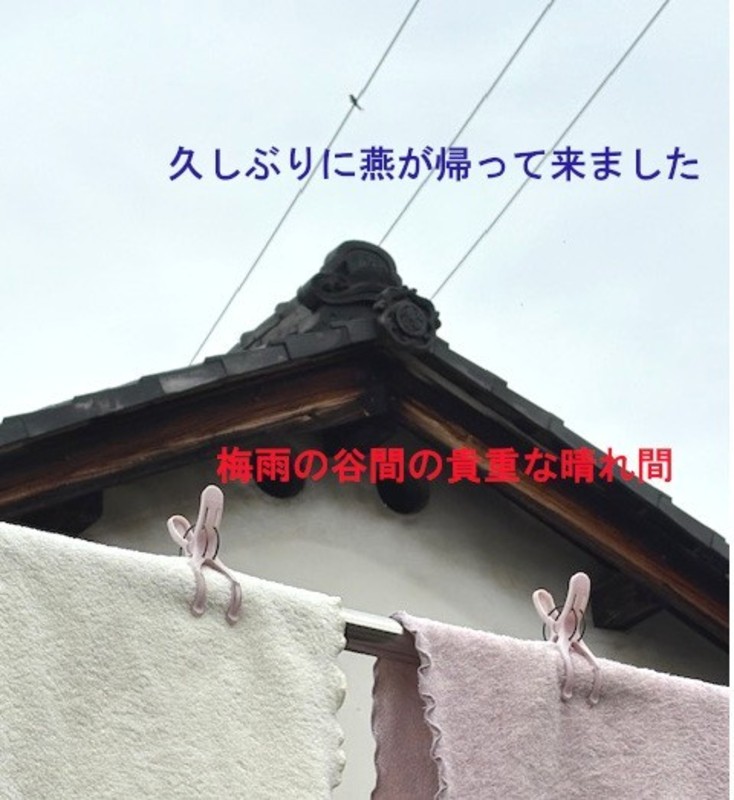 インスタグラム始めました。フォローお願いいたします。