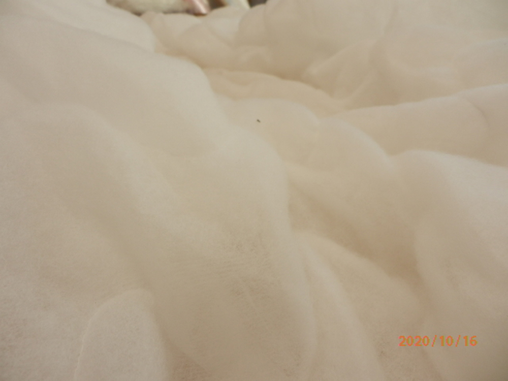 イノベーション綿 写真1